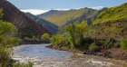 South Canyon Spring Art Print